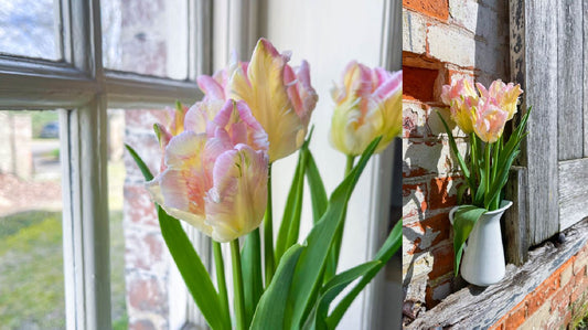 Time to Plant, Prune and Prepare for the Season Ahead - Gardenscapedirect