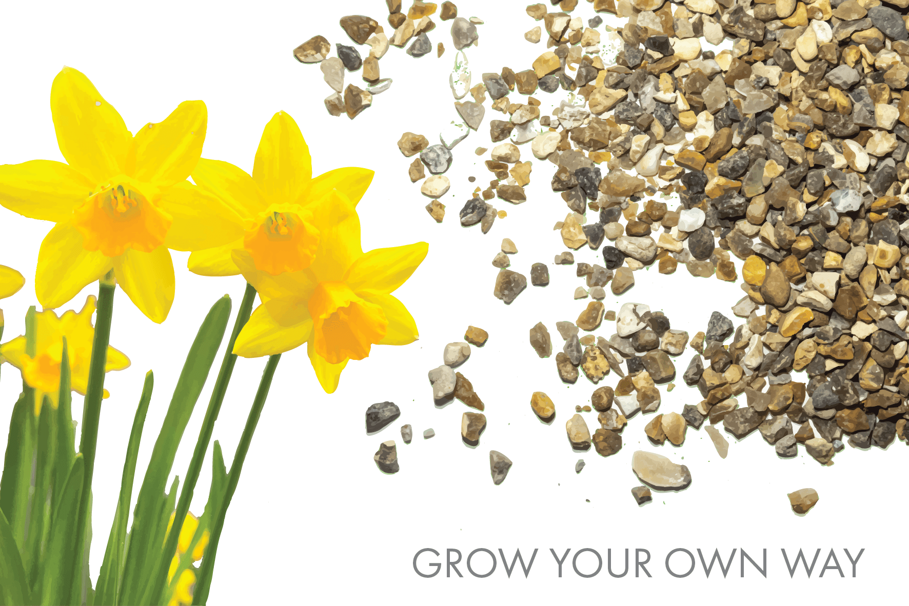 Spring Inot March Grow Your Own Way: Spring Into March Gardening – Gardenscapedirect