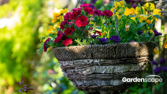 June in Full Bloom: How to Make the Most of Your Garden This Month - Gardenscapedirect