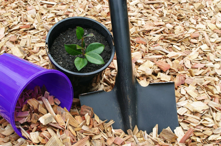 Hardwood Chippings / Cockleshells - Gardenscapedirect