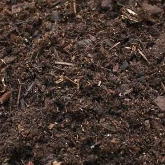 Ericaceous Compost