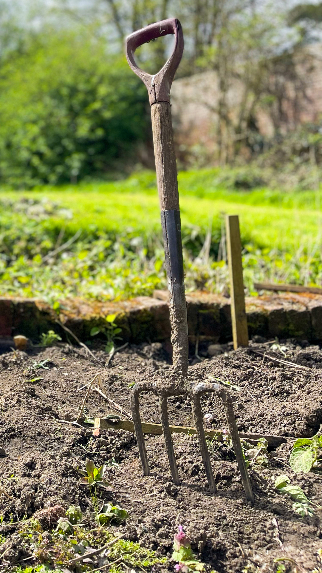 Garden fork sticking into soil