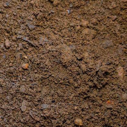 Blended Premium Topsoil 10mm (TS6 10mm) - Gardenscapedirect