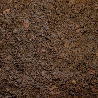 Blended Premium Topsoil 5mm (TS6 5mm) - Gardenscapedirect