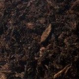 Composted Bark - Gardenscapedirect