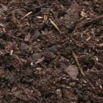 Ericaceous Soil - Gardenscapedirect