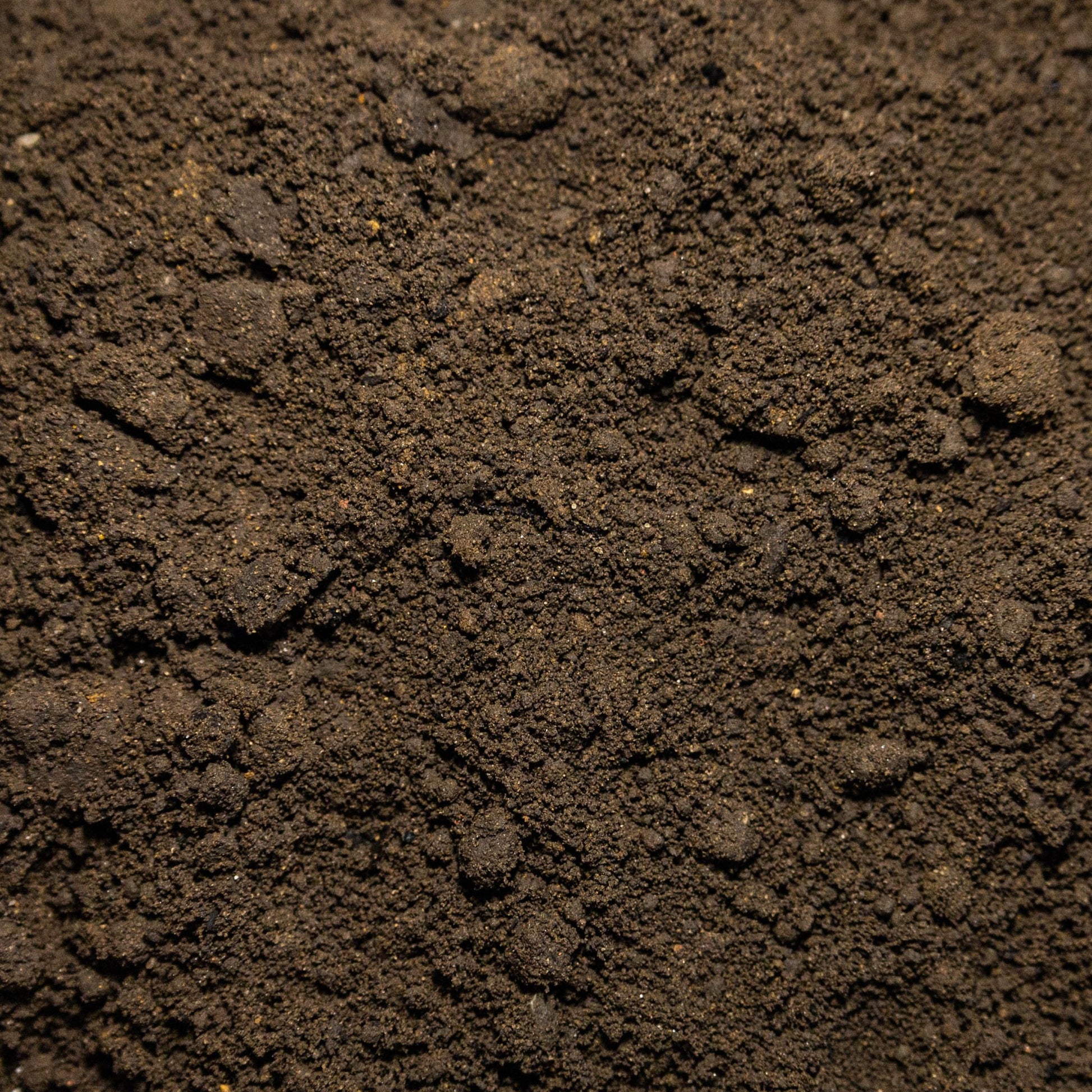 Sandy Loam Topsoil TS1 20mm - Gardenscapedirect