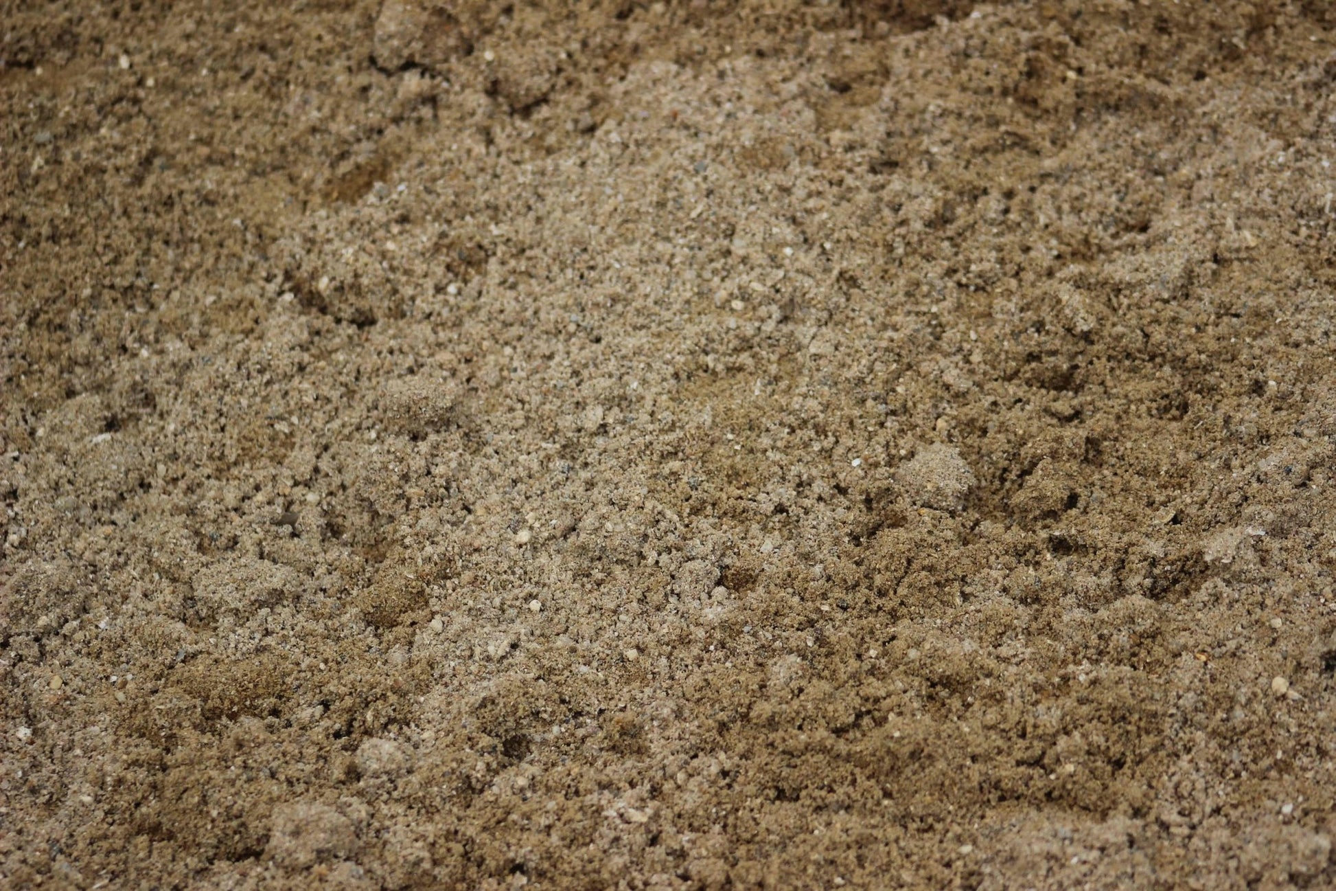 Sharp Washed Sand - Gardenscapedirect