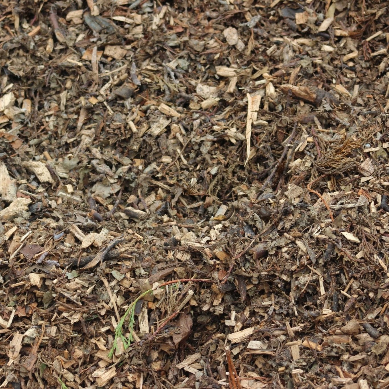 Woodland Amenity Mulch - Gardenscapedirect