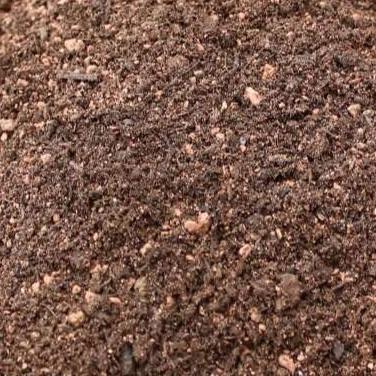 John Innes Enriched Multipurpose Compost | Gardenscapedirect