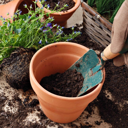 Pot and Bedding Compost | Gardenscapedirect