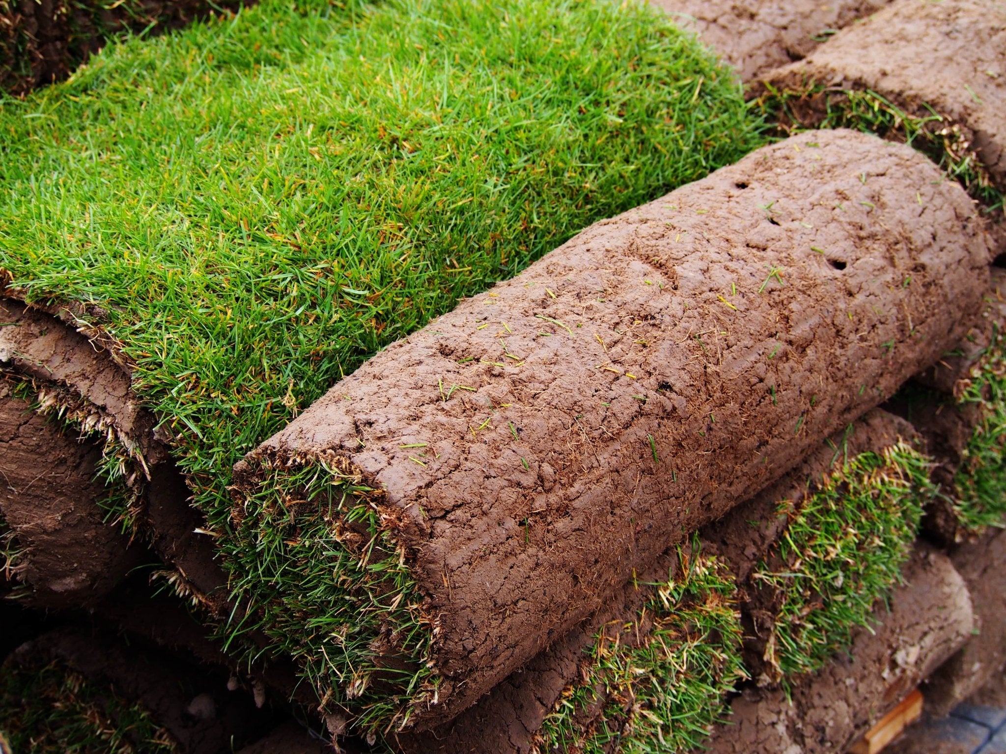 Turf - Free Local Delivery - Minimum Spend – Gardenscapedirect